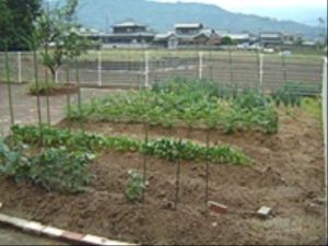 菜園のある施設外観