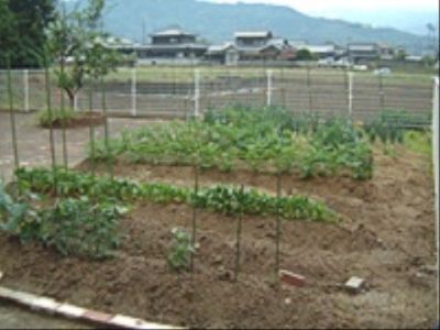 菜園のある施設外観