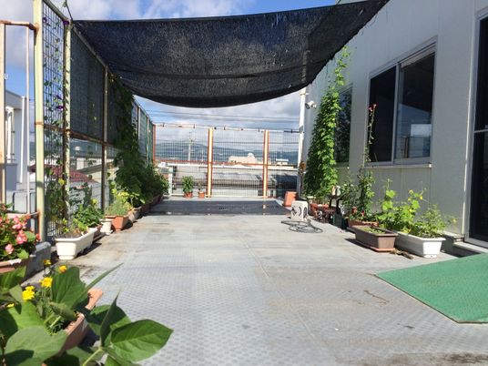 植木が並ぶ屋上テラス  