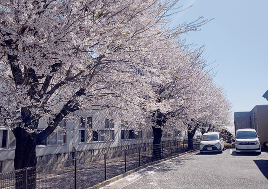 桜並木が美しい外観