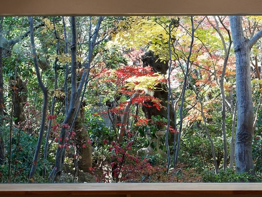 紅葉の見える中庭  