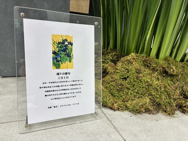 掲示物と植物の飾り 掲示物   季節の行事を紹介する掲示物が、床面にすっきりと設置されています。和の飾りとあわせて、落ち着いた雰囲気が伝わります。