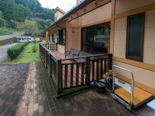 中庭の落ち着いた風景