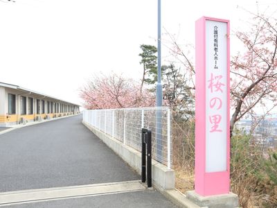 桜の看板