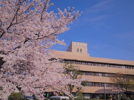 桜と施設外観  