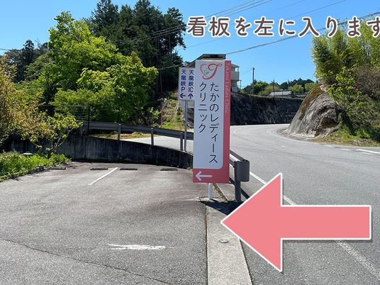 クリニック前の道路脇  