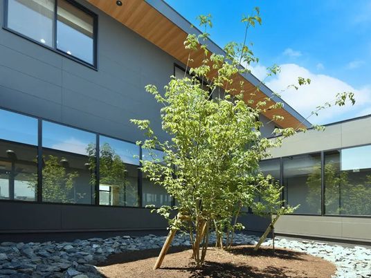 中庭のある建物外観  