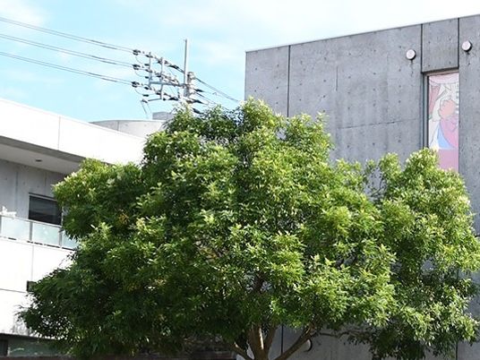 建物前の緑と外観  