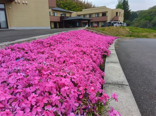 花壇のある外観  
