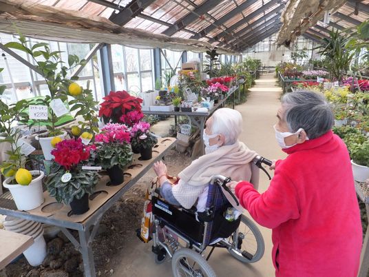 植物に囲まれたケア空間