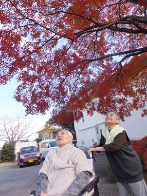 介護者が高齢者とお散歩