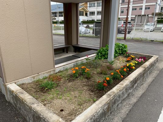 花壇の中庭