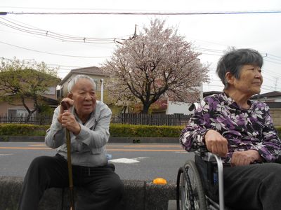 桜と共に外出する高齢者