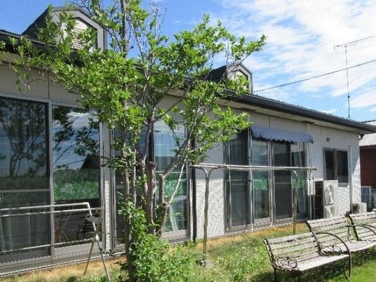窓と緑のある明るい施設外観