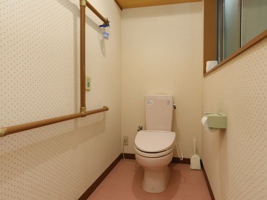 手すり付き清潔なトイレ