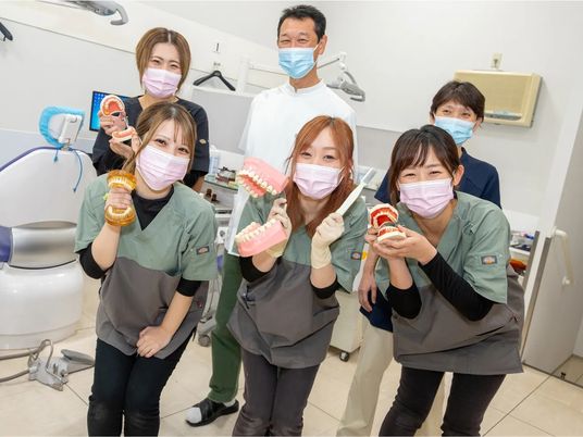 歯科模型を持つスタッフイメージ  