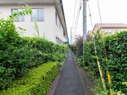 緑に囲まれた通路  