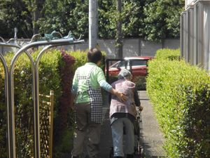 散歩する二人の後ろ姿