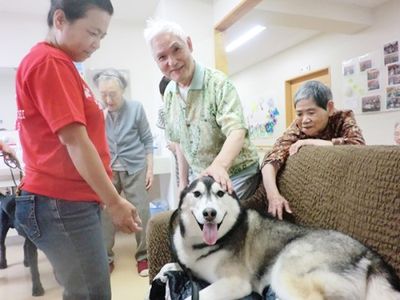 ペットと触れ合う居室