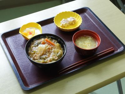 栄養バランスの取れた食事