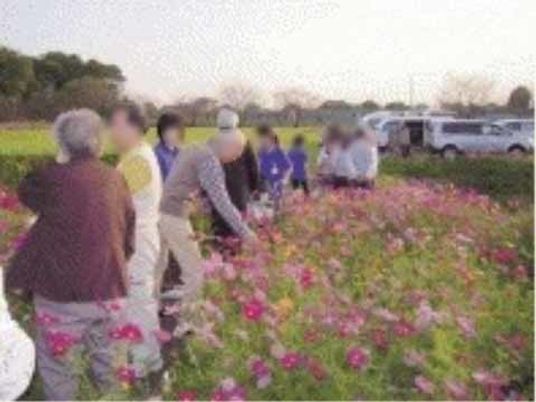 庭での花摘み活動