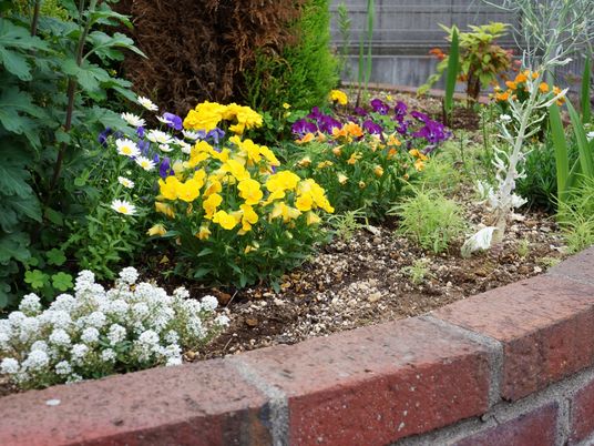 色とりどりの花がある庭