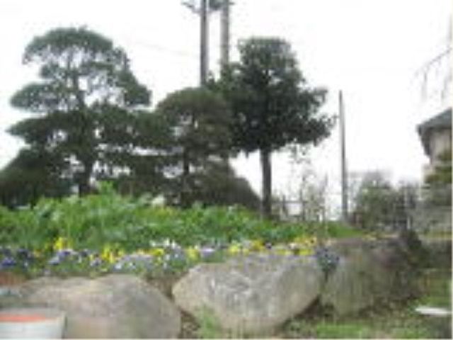 緑豊かな施設の庭 庭園 自然光があふれ、心地よい緑の庭。季節の花々を眺めながら、穏やかな時間をお過ごしいただけます。