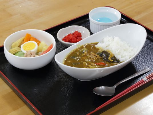 バランスの良い食事提供