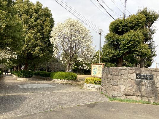 美しい中庭の風景