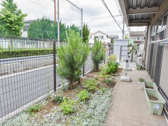 緑豊かな施設の中庭