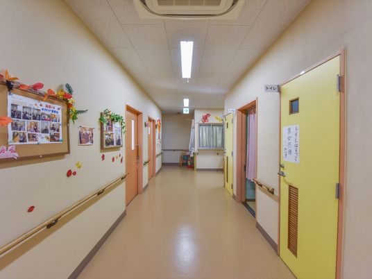 明るい廊下の掲示物