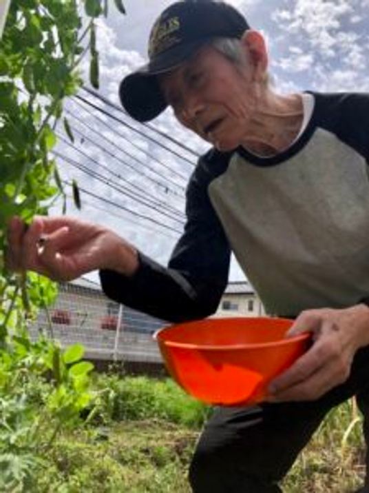 庭で作業する高齢者