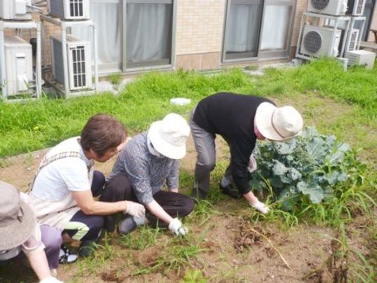 野菜を植える高齢者たち