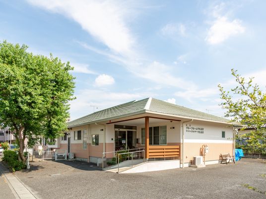 緑豊かな施設外観