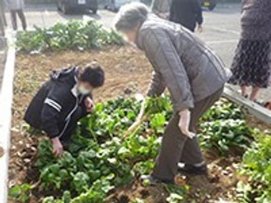 野菜の世話をする人々