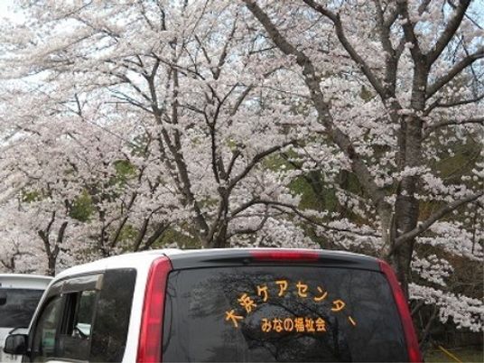 桜並木と施設の車