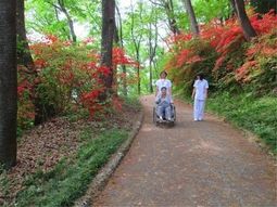 車いすで散歩する人々