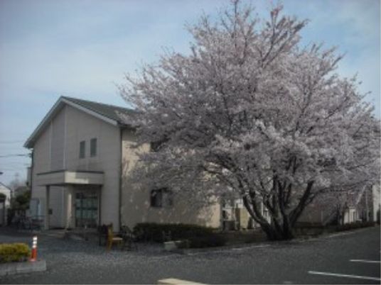 桜の木と建物の外観