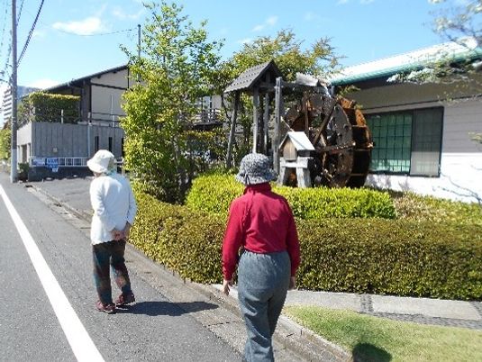 散歩する二人の背中