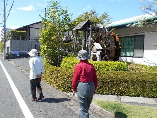 散歩する二人の背中