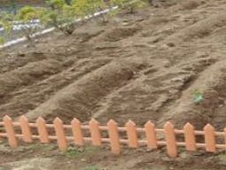 中庭の土とフェンス