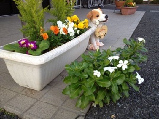 犬と花があるエントランス
