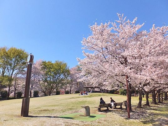 癒やしのある庭の風景