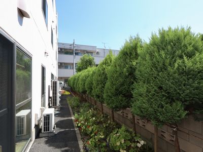 緑豊かな庭の景観