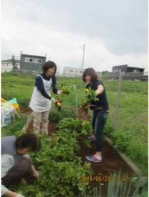 庭での園芸活動