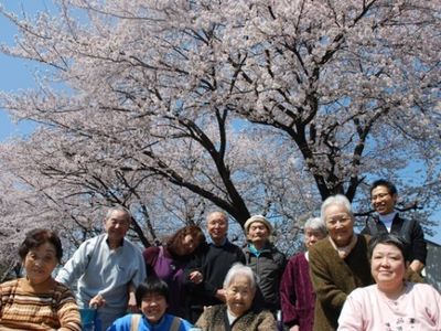 桜の下での集合写真