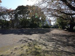 快適な中庭の景色