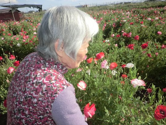 高齢女性と花畑