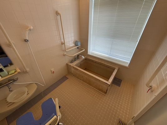 手すり付きの安全な浴室