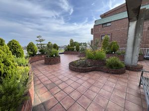屋上の庭  